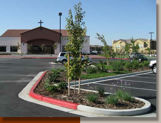 New Landscaping at Divine Mercy Church in Sacramento
