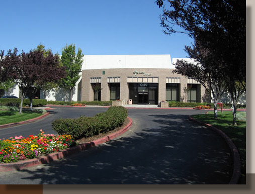 Entry Drive Landscaping in Rancho Cordova, California