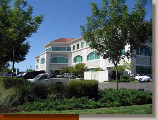 Chinese Pistache Trees and Junipers in Sacramento