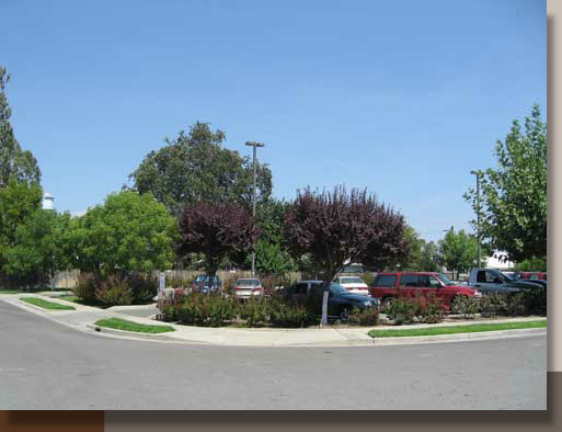 Parking Lot Landscaping in Biggs, California