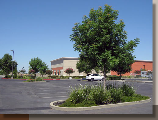 Renovated Planters in Placer County