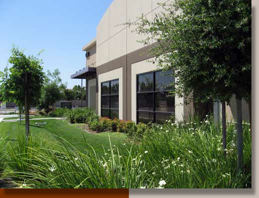 Bio-swale at Technology Business Park in Livermore