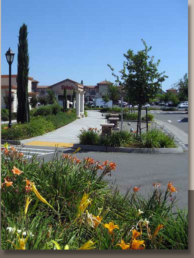 Landscaping at Sterling Point Center in Lincoln, CA
