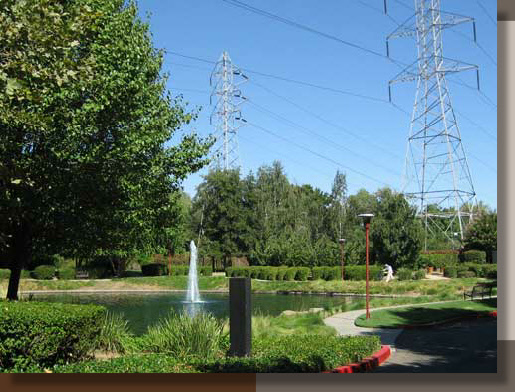 Water Feature in Sacramento, California