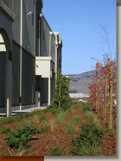Water Conservation for LEED Point in Napa Valley