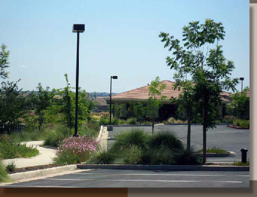 Site Lighting and Parking Lot Shading in Rocklin California