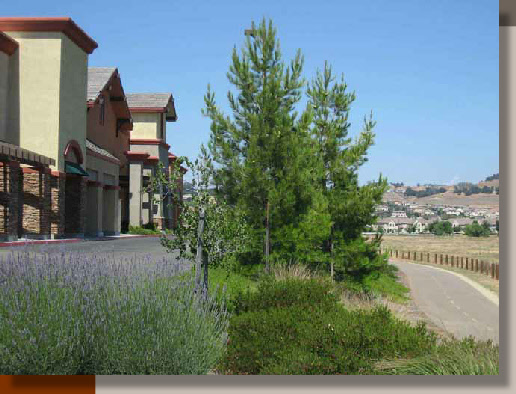 Landscaping at Raley's, Folsom, California