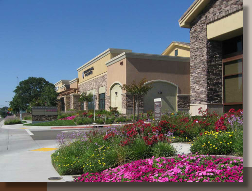Granite Bay Pavilions Entry Landscape in East Roseville, CA