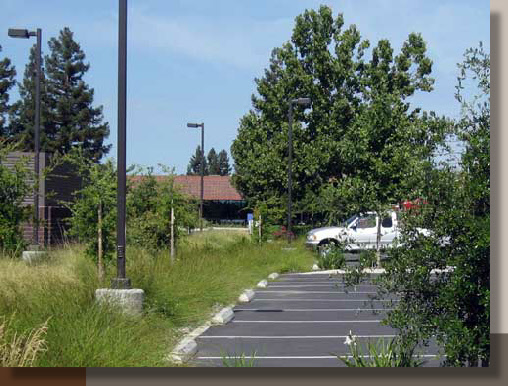 Parking Lot Water Treatment with Landscaping in Davis