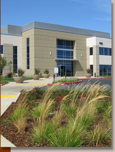 Mather Commerce Center Landscaping in Rancho Cordova, CA