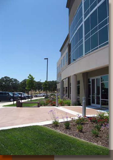 Entryway Landscaping at a Folsom Office Building