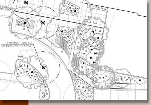 Typical Planting Plan