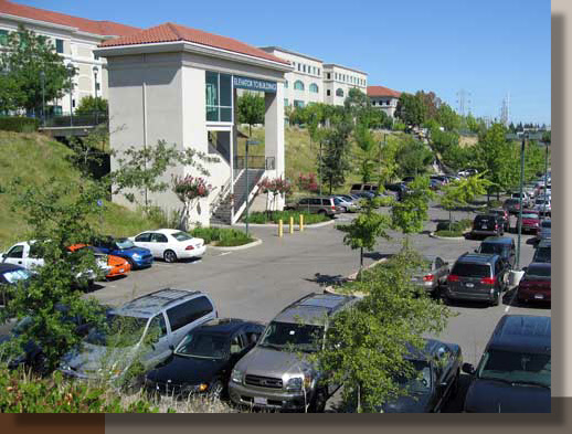 Landscaped Parking Lot in the City of Sacramento