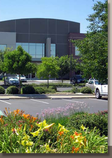 City of Elk Grove Parking Lot Landscaping