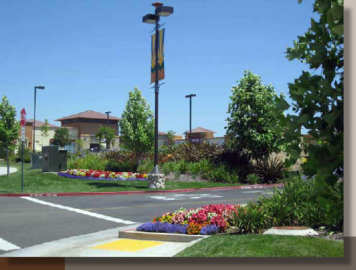 East Folsom Planting Design