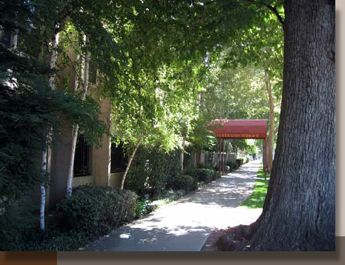 Senior Apartment Landscaping in Sacramento
