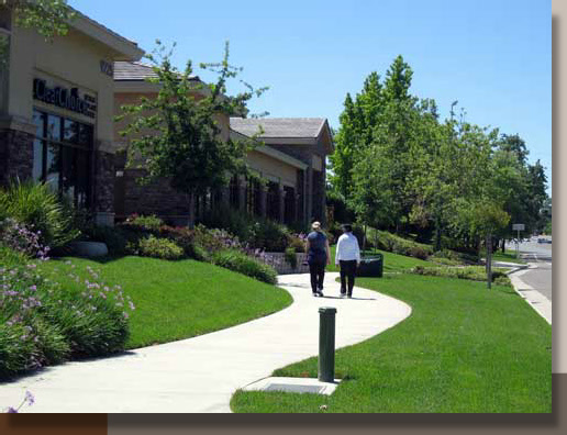 Medical Office Landscaping in Roseville California