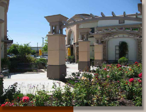 Elk Grove Landscape Architecture with Roses