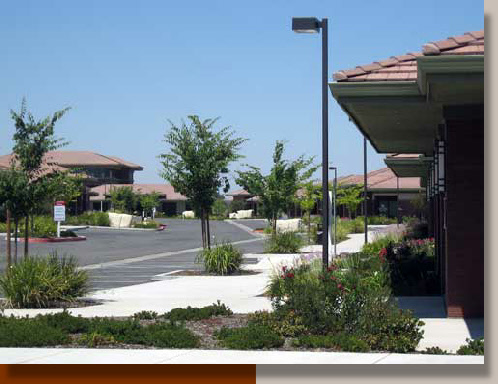 Landscaping at Rocklin 65 Offices