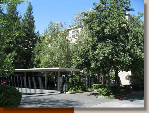 Covered Parking and Trees in Sacramento, California