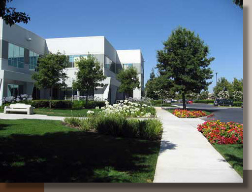 Landscape Architecture in Rancho Cordova